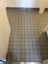 Gynækologisk Klinik